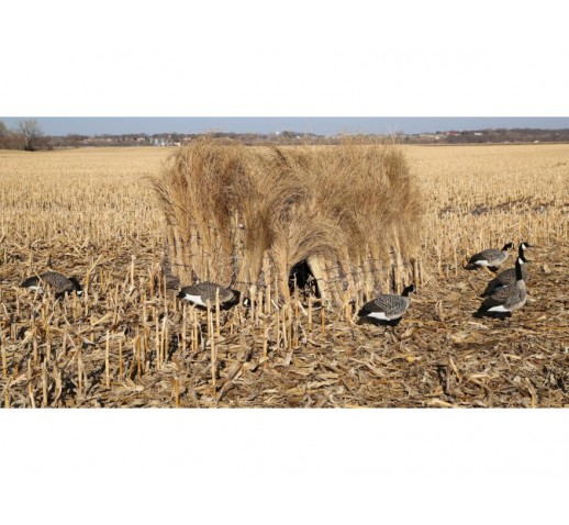 DAKOTA DECOYS DAKOTA DECOY X-Series Field goose hunting blind